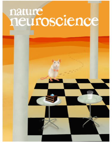 cover nature neuroscience