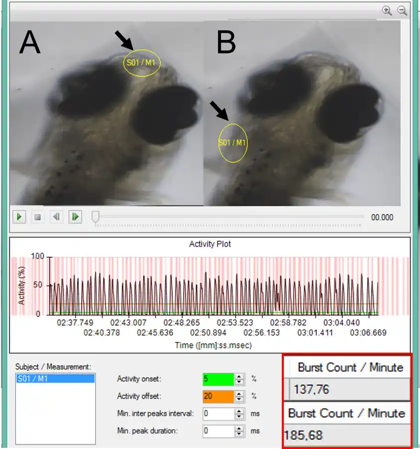 DanioScope breathing zebrafish