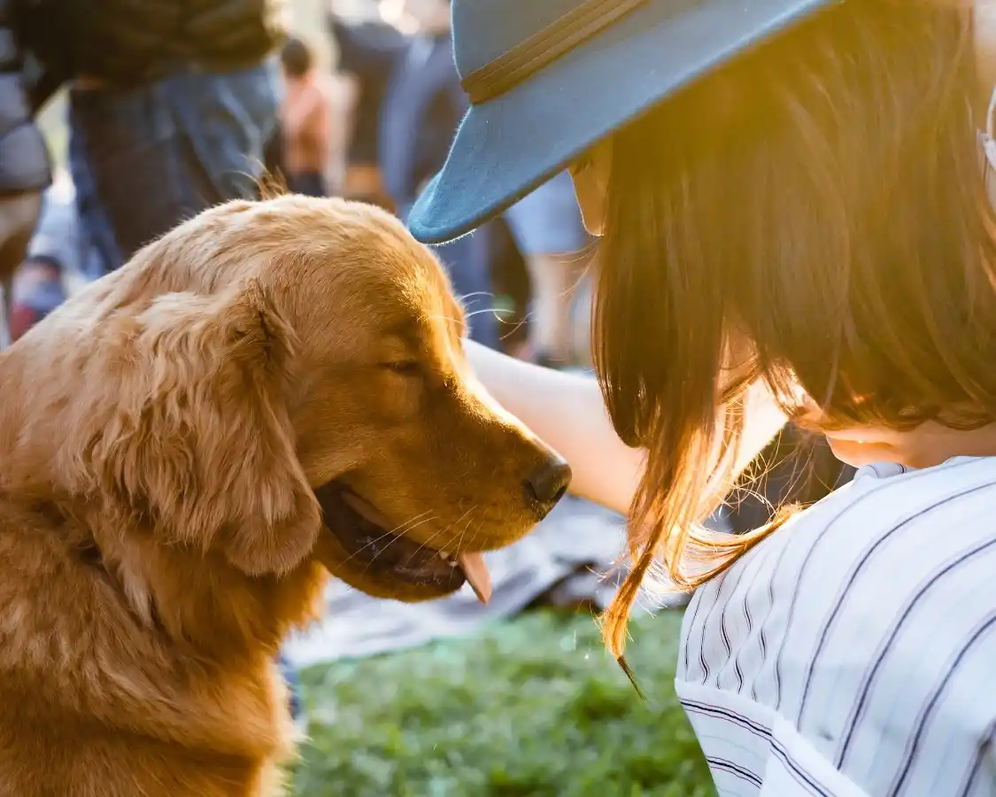 Dog therapy