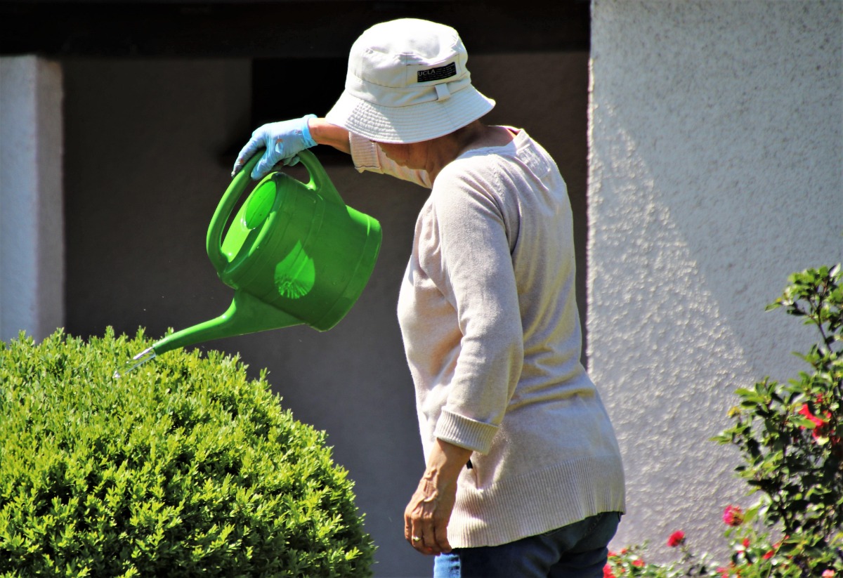 elderly woman watering plants