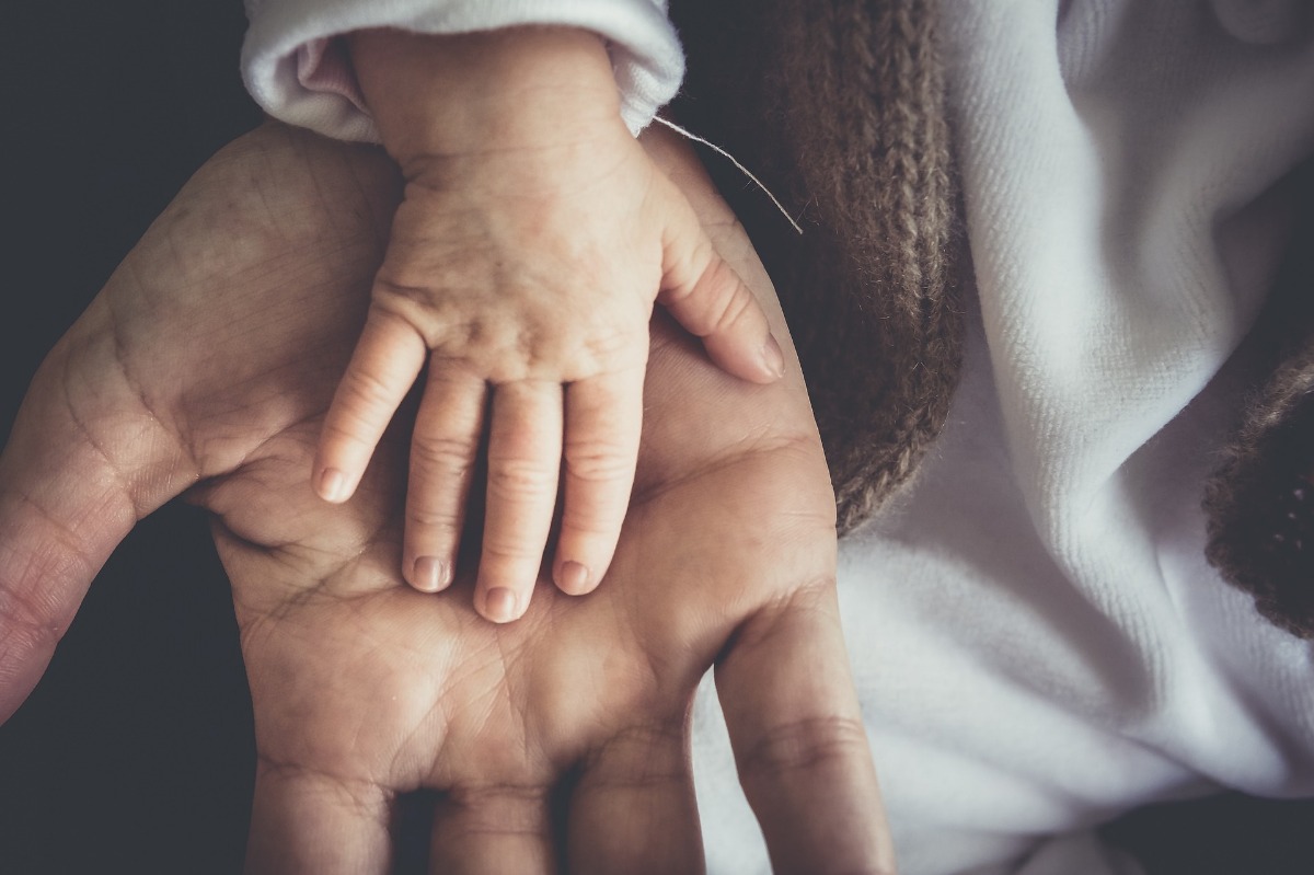 Hands of child and adult