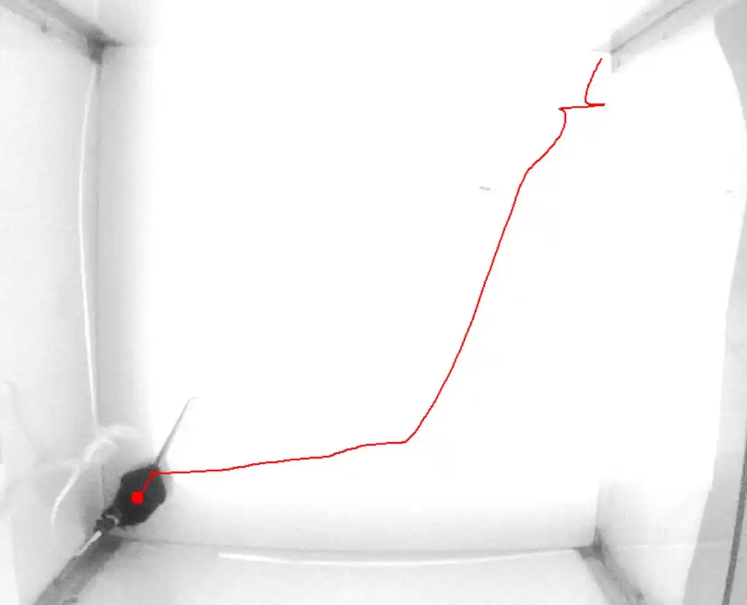 Inscopix Noldus collaboration mouse track