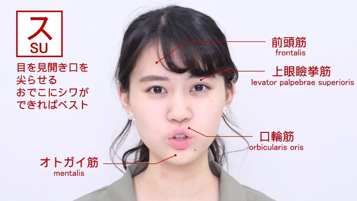 Action Units activated when saying SU