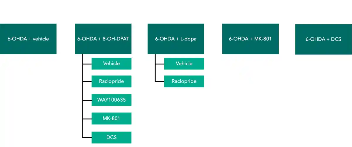 Study design showing treatment combinations