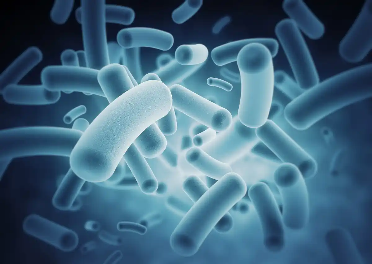 Microbes