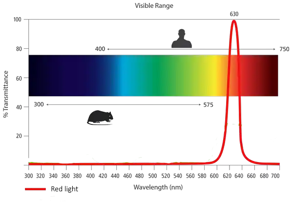 Mouse color vision