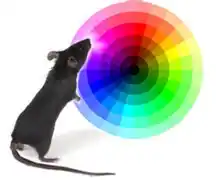 Mouse color wheel