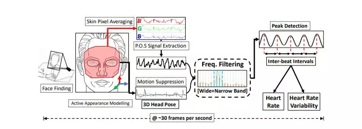 Overview heart rate and HRV