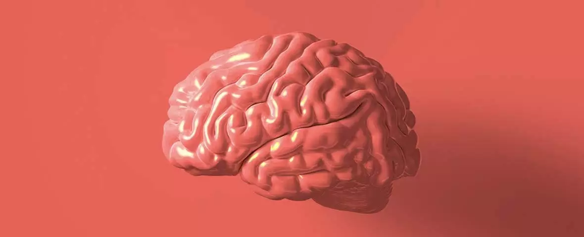 Red orange brain