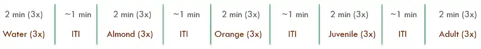 Schedule olfactory test