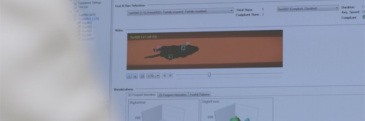 Gait analysis - Animal locomotion | Noldus
